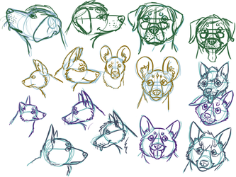 Canine Headshot Sketches