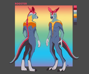 Rooster - My Kangaroo Character