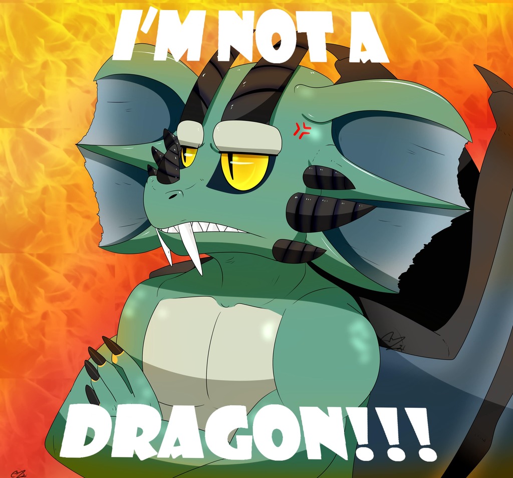 Not a Dragon