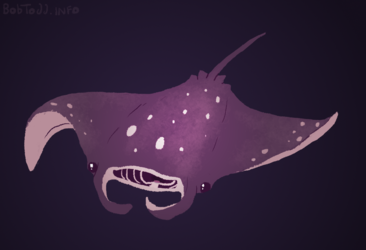 2015 - Little manta ray