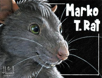 Marko T. Rat