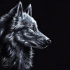 Avatar for WhiteLightning-Wolf