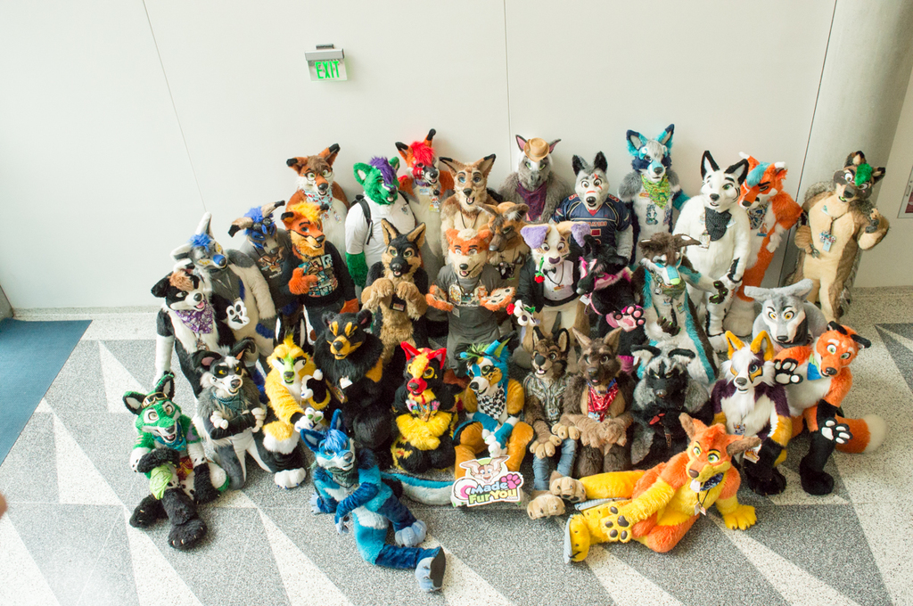 FC2016: The View from Above, Made Fur You