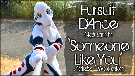 Fursuit Dance / Naluark / 'Someone Like You' //
