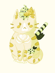 lemon cat
