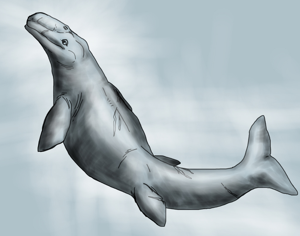 Tylosaurus Sketch--Fully Fleshed Marine Critter