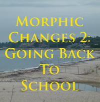 Morphic Changes 2: Going Back To School