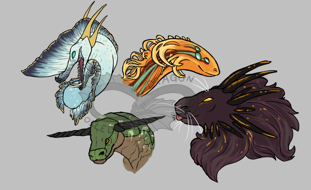 Dragon Bust Requests
