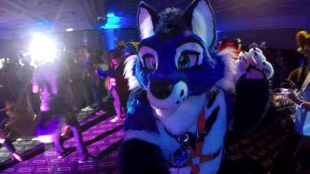 FurDU 2019: Rave Fox Selfie