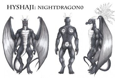 Hyshaji Nightdragon Reference Sheet by Ageaus 