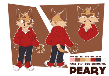 Peary Reference Sheet 2020