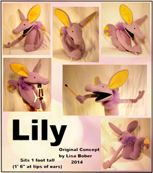 Lily - Aardvark puppet 2014