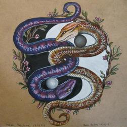 year of the snake - yin yang - collab