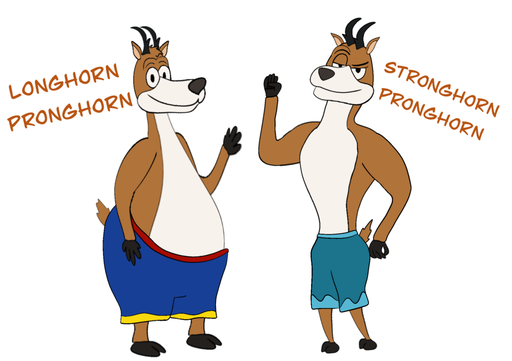 Pronghorn Brothers with Swimsuits