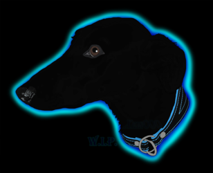 Dog [WIP 3]