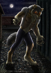 The Werewolf of Defiance