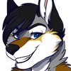 avatar of slavawolfie