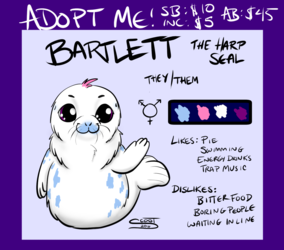 ADOPTABLE AUCTION - Bartlett the Harp Seal