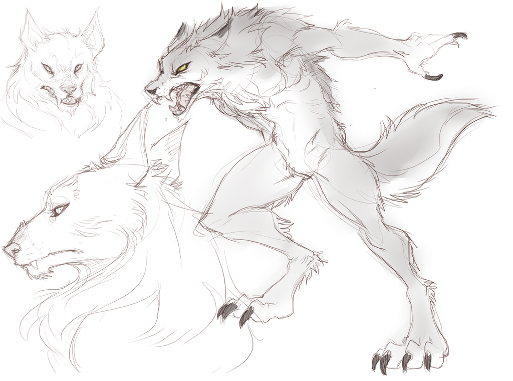 werewolf sketch dump