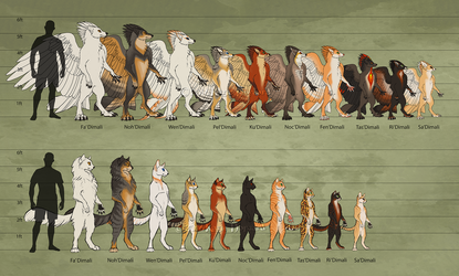 Tribes of TeaFeathers Size Chart
