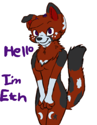Meet Etch