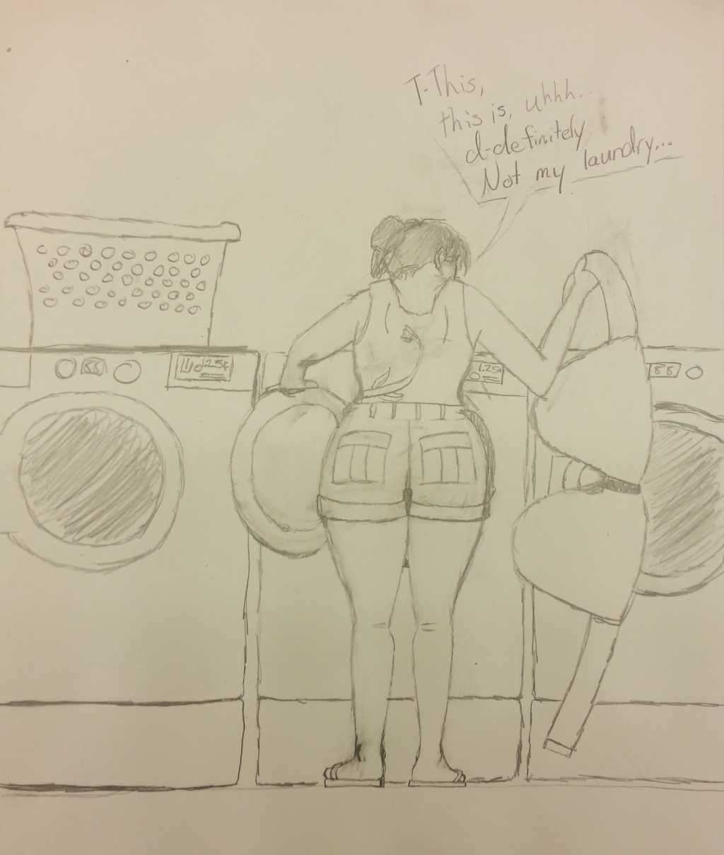 Most recent image: Wrong Machine at the Laundromat