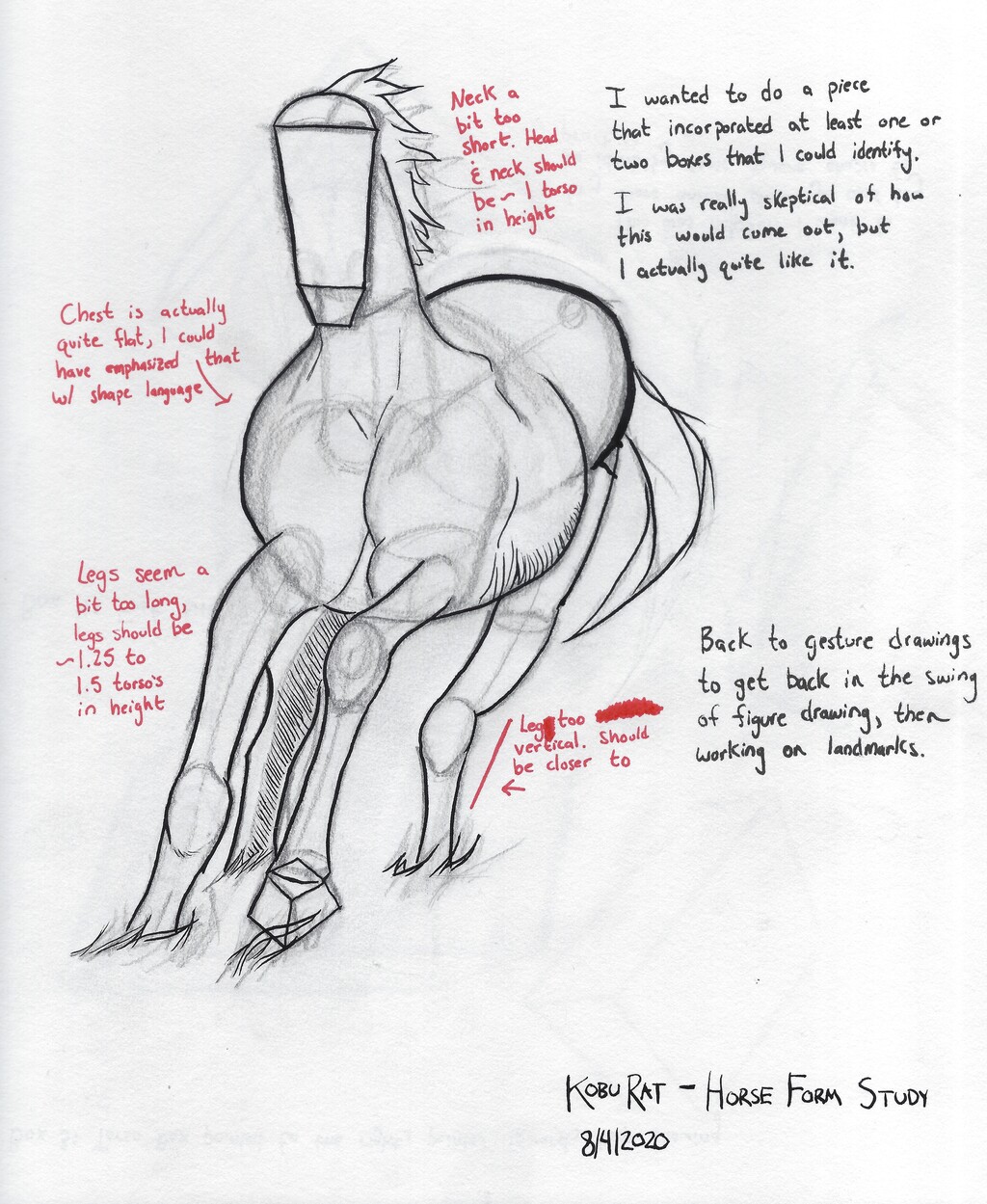 L3 - Horse Form Study