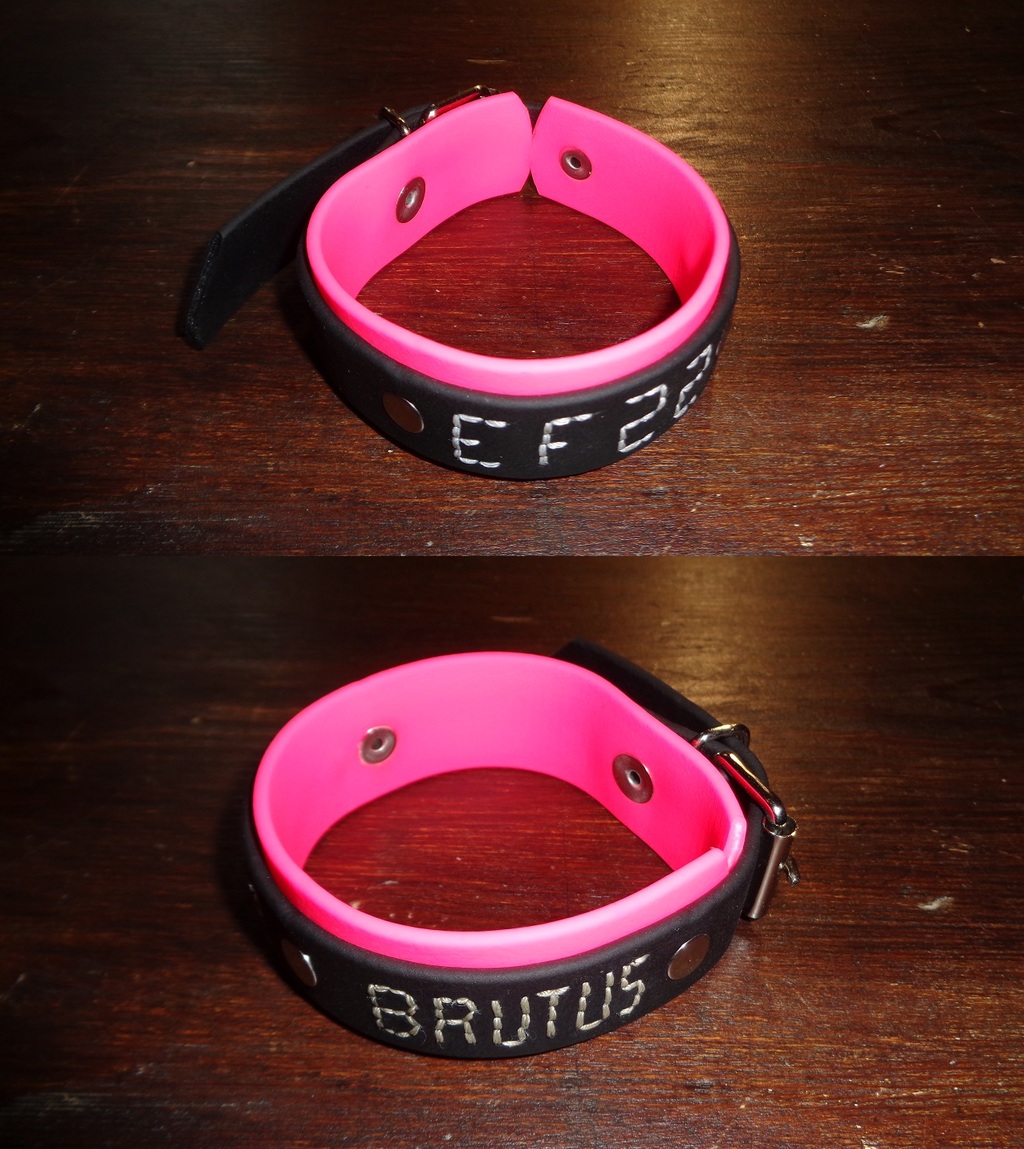 1 th EF22 special Bracelet