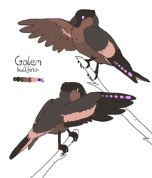 [commission] Bird Golem Ref