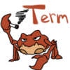Term’s avatar