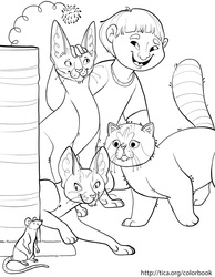 TICA Cat Coloring Book Page 5