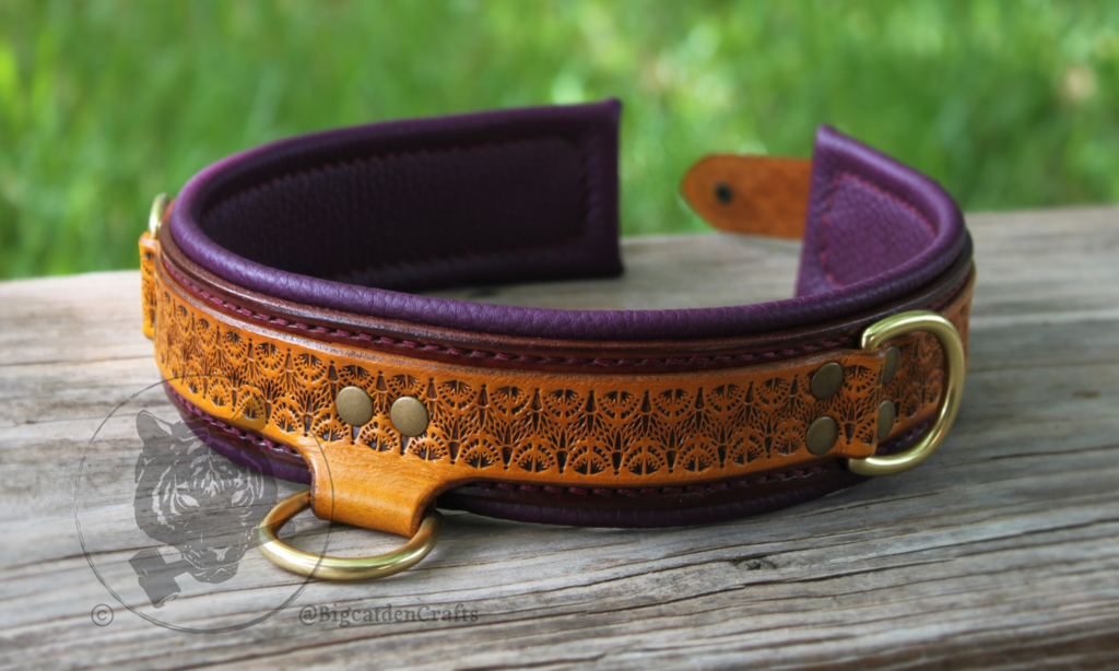 Most recent image: Antlered Phase's Collar