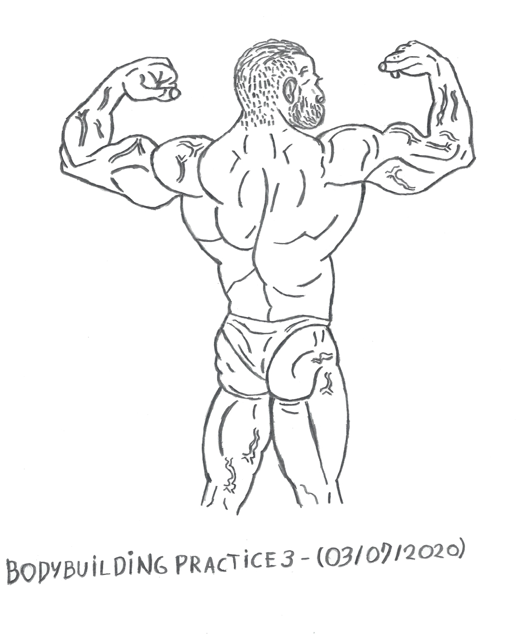 Bodybuilding - Anatomy Practice 3