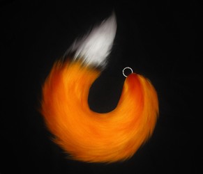 Fox Tail (FOR SALE)