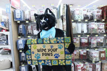 Wipe Your Paws Please!
