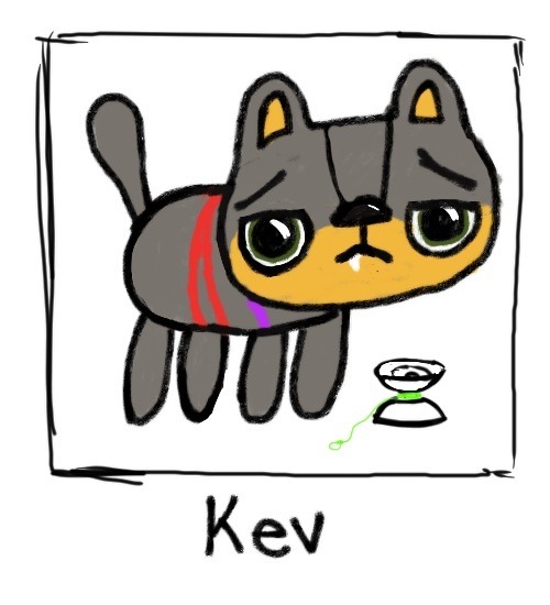 Most recent image: Hackycats: Kev