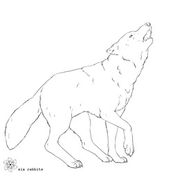 Lone Wolf Line Art (Free to Color)