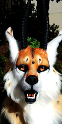 Artemis Koi Dragon Fox! 