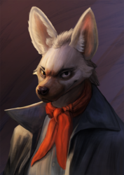 Aardwolf Portrait