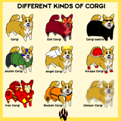 Different of Kinds of Corgi
