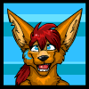 avatar of Kwolf13