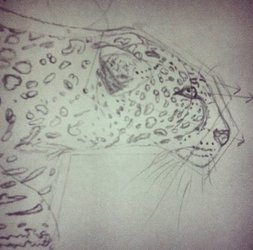 cheetah realism