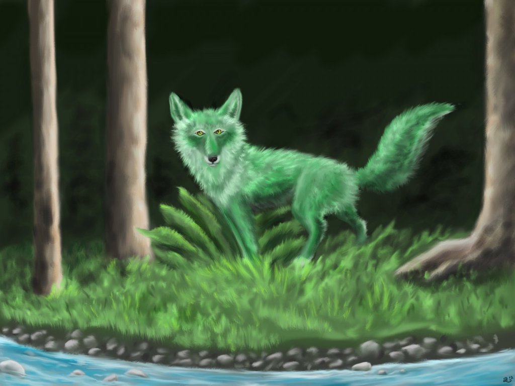 Fox! Drawn by Silverback2001
