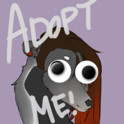 Adoptable anteater lady