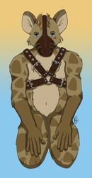 Hyena Harness