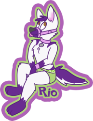 Rio badge