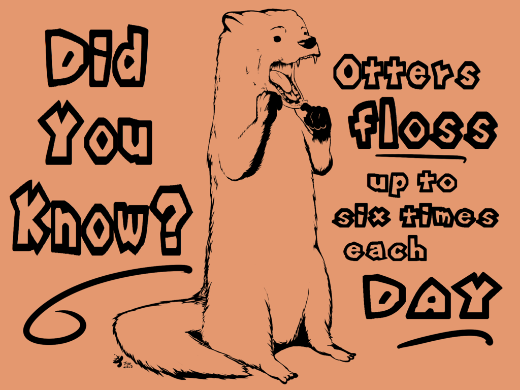 True Otter Fact™