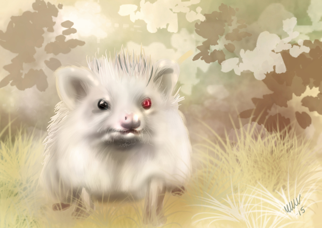 Hedgehog commission
