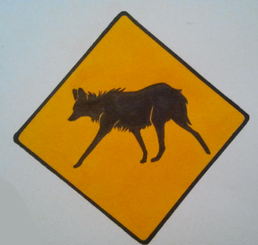 Caution, Maned Wolfs