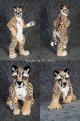 King cheetah suit [FC 2014 Photoshoot]